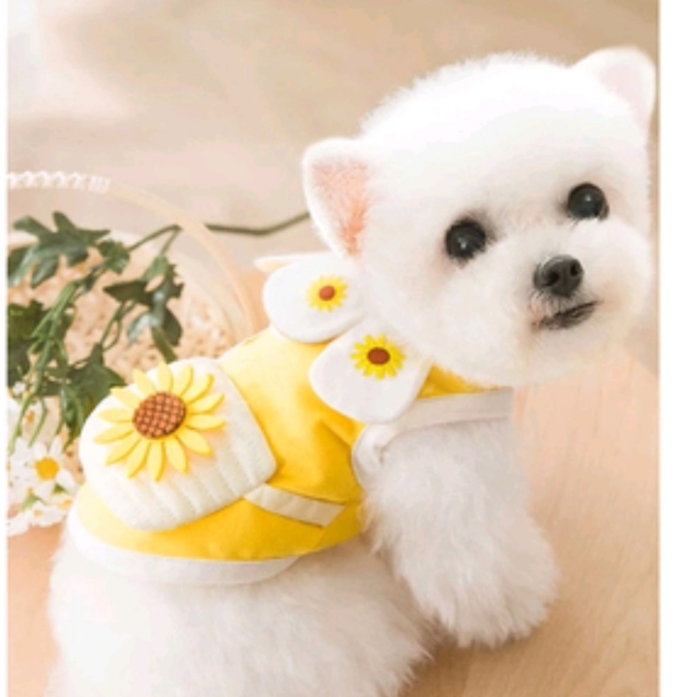 Flower Power Dog Shirt